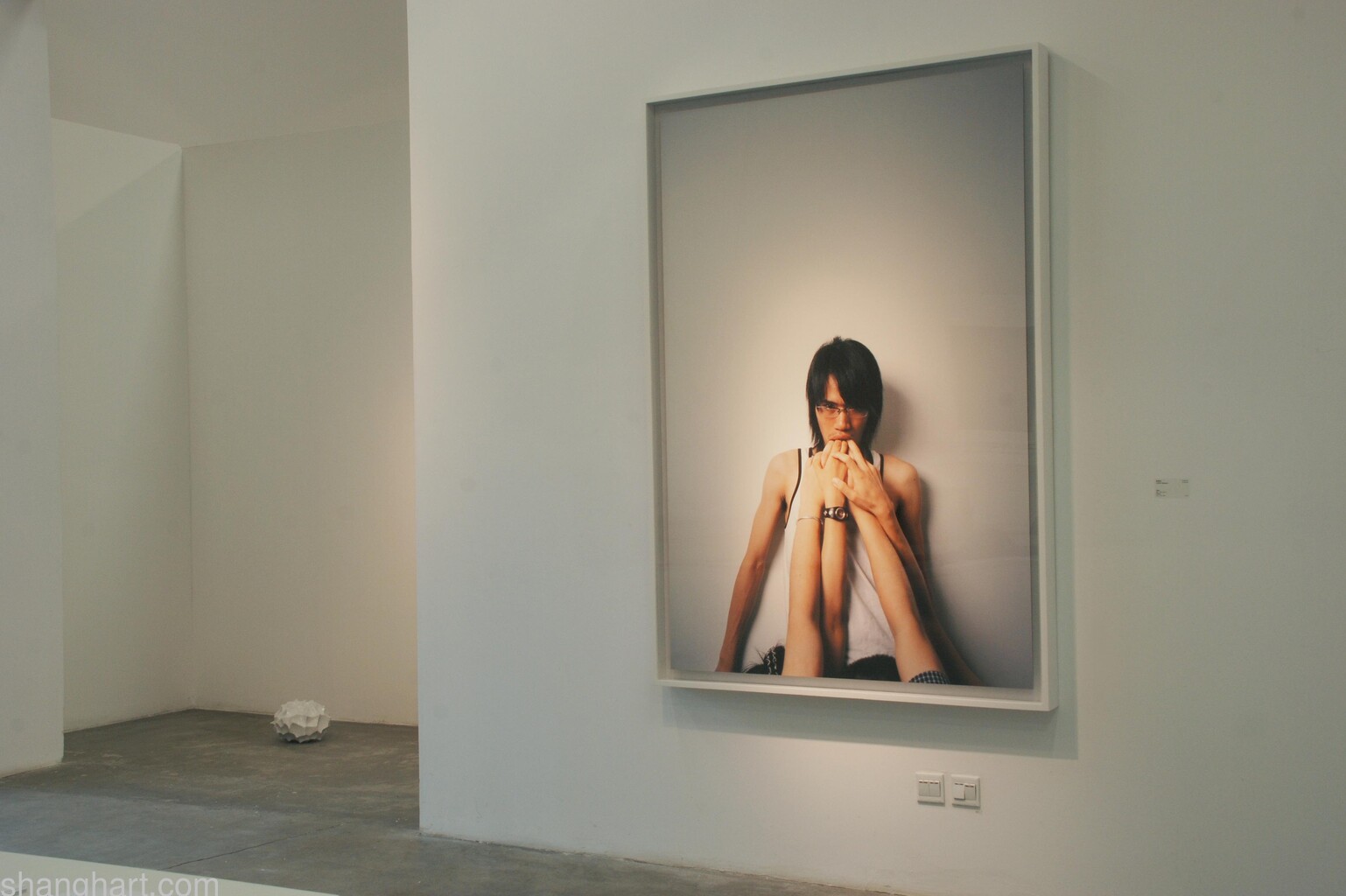 Exhibition Scene of CHEN Xiaoyun Anyone 2006 180.0*120.0cm (71
