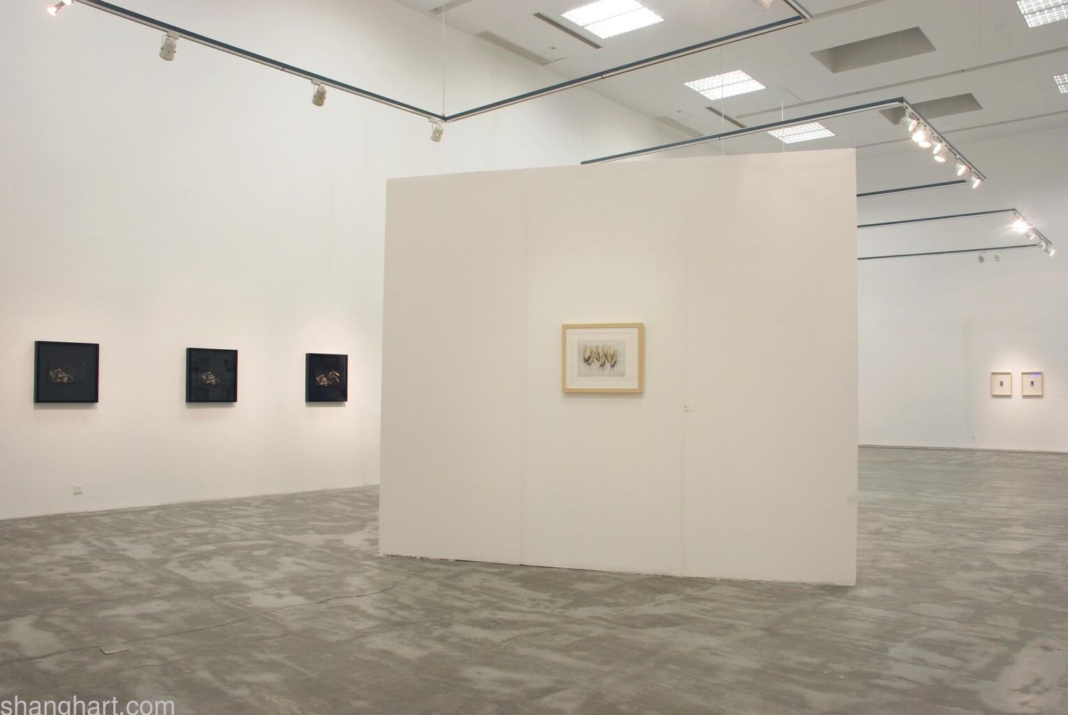 Exhibition Scene