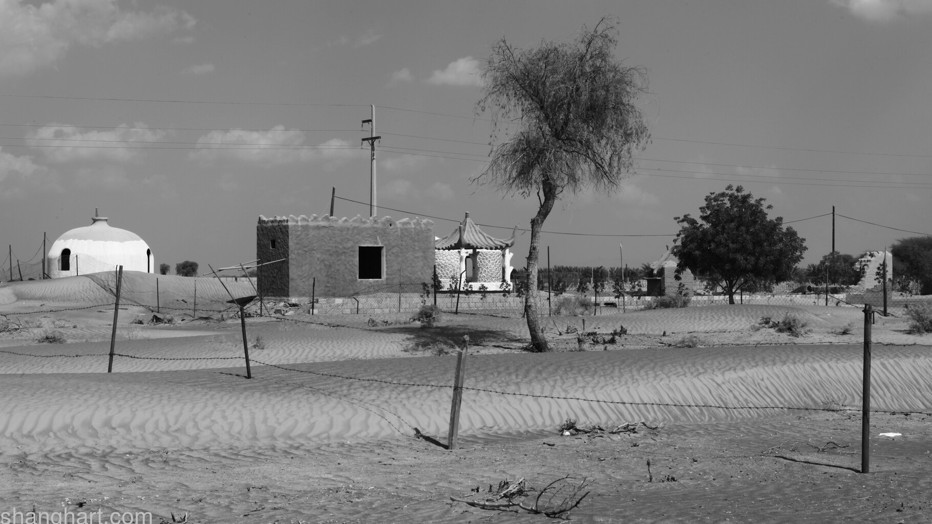 Image Still