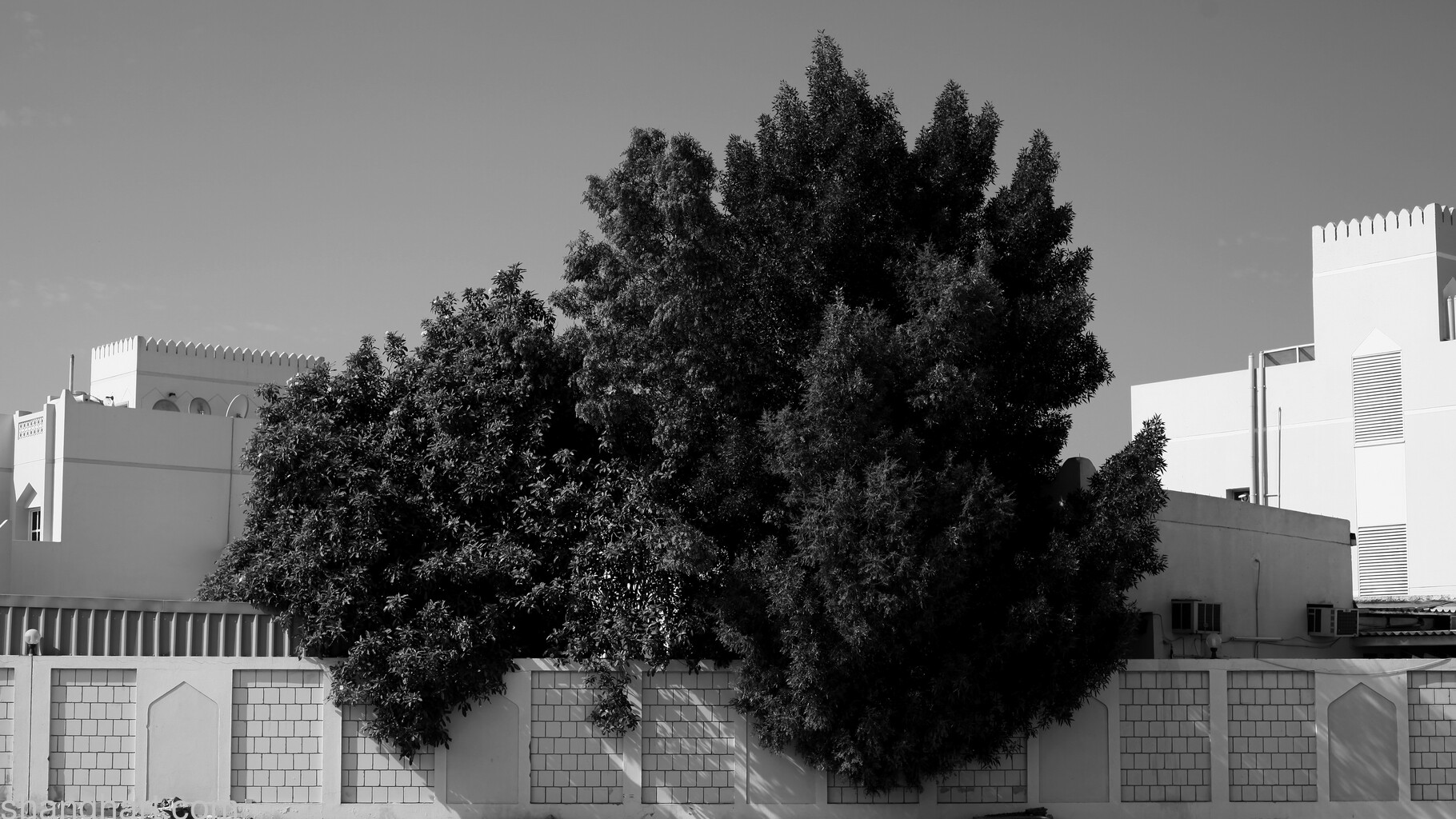 Image Still