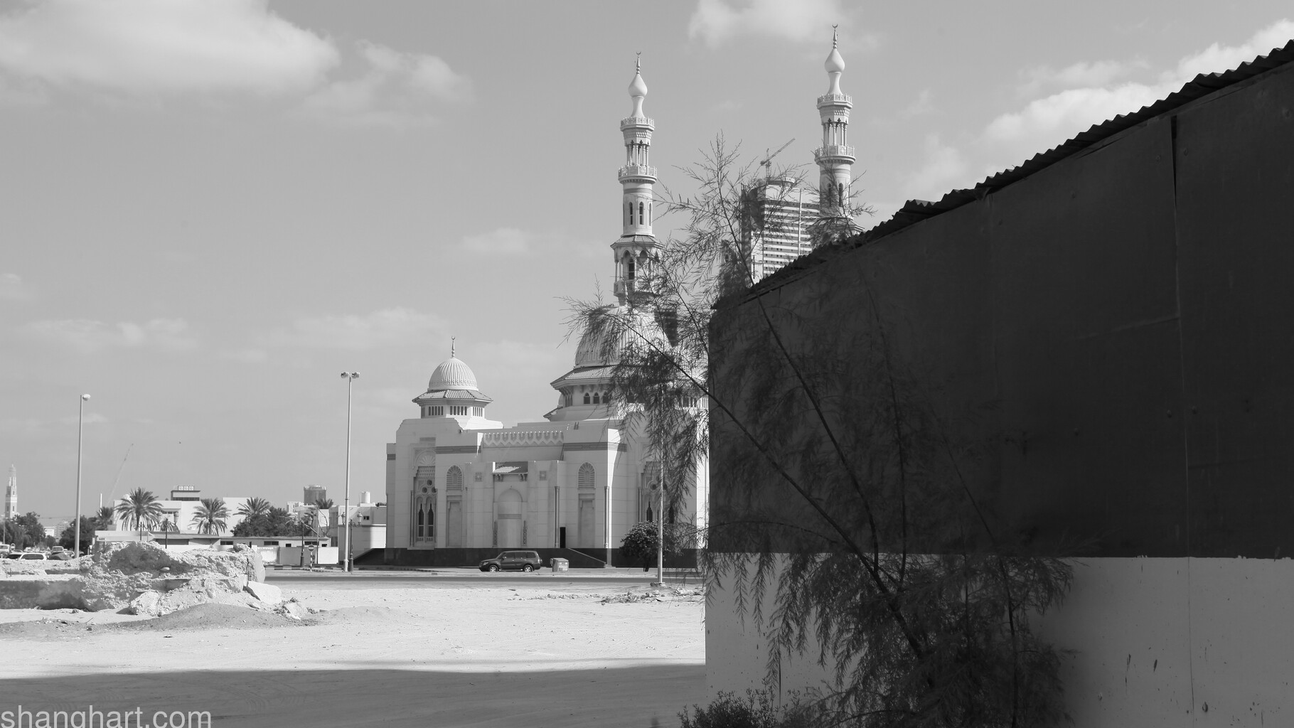 Image Still