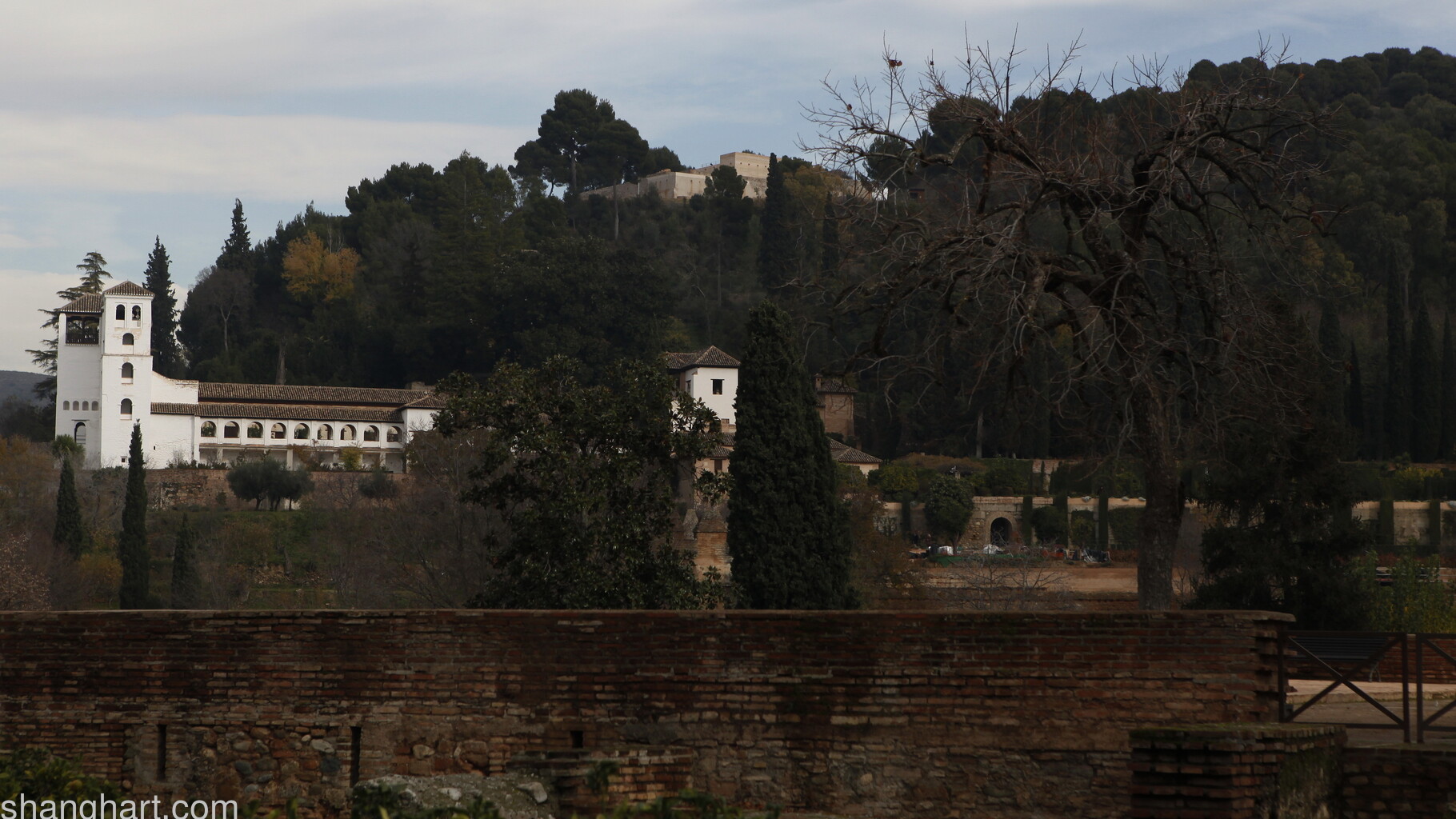 Image Still