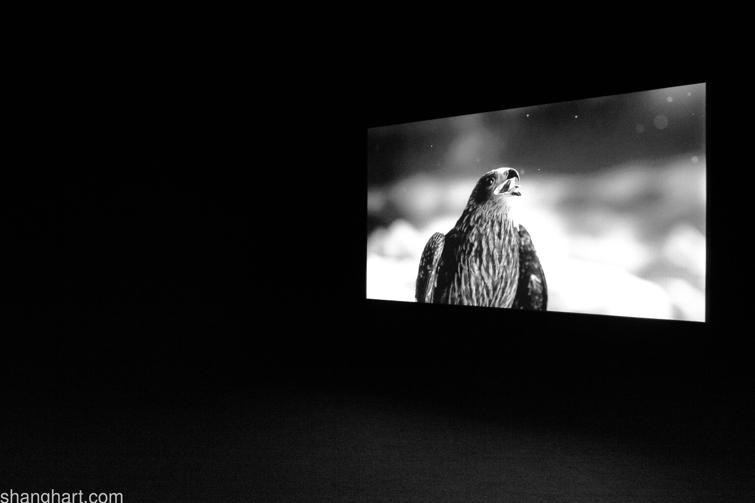 Singapore solo installation view
