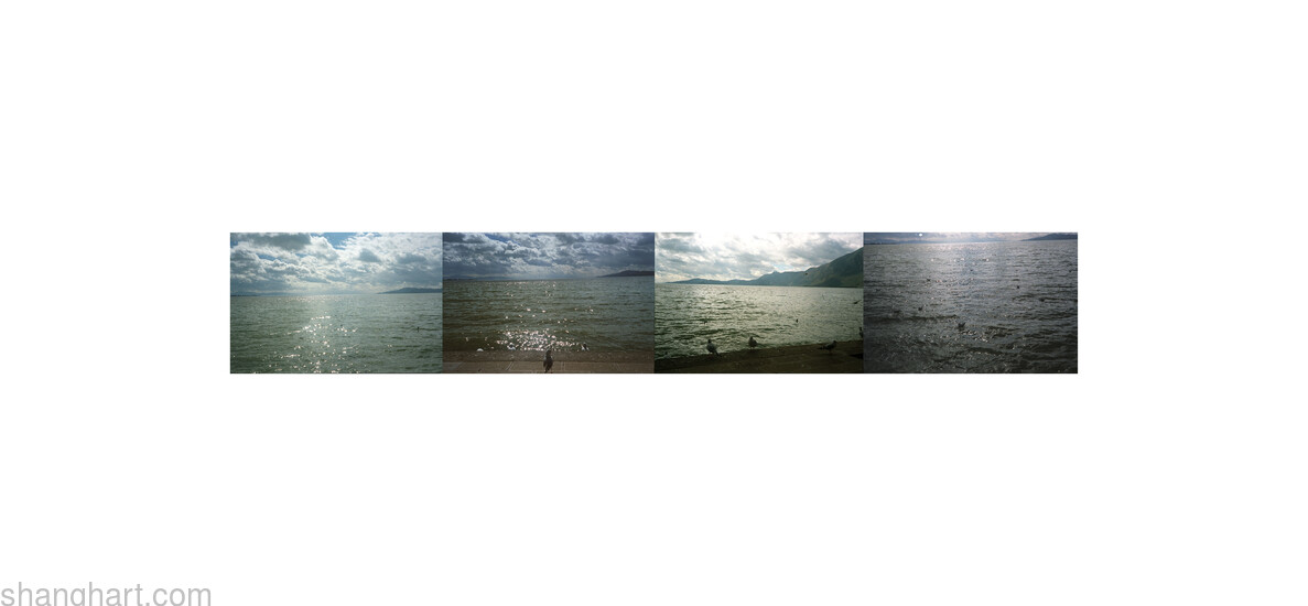 LY_2009