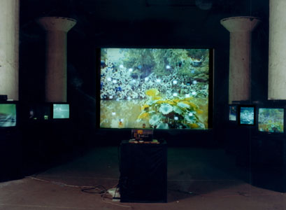 Exhibition view in Useful Life 2000, Shanghai