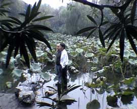 Still image
