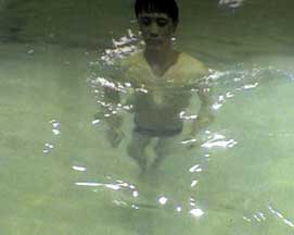 Still Image