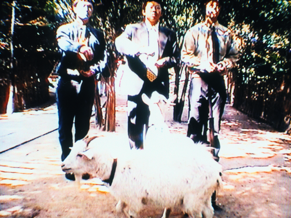 Still Image