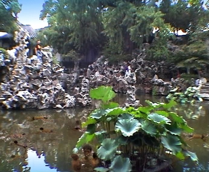 Still Image