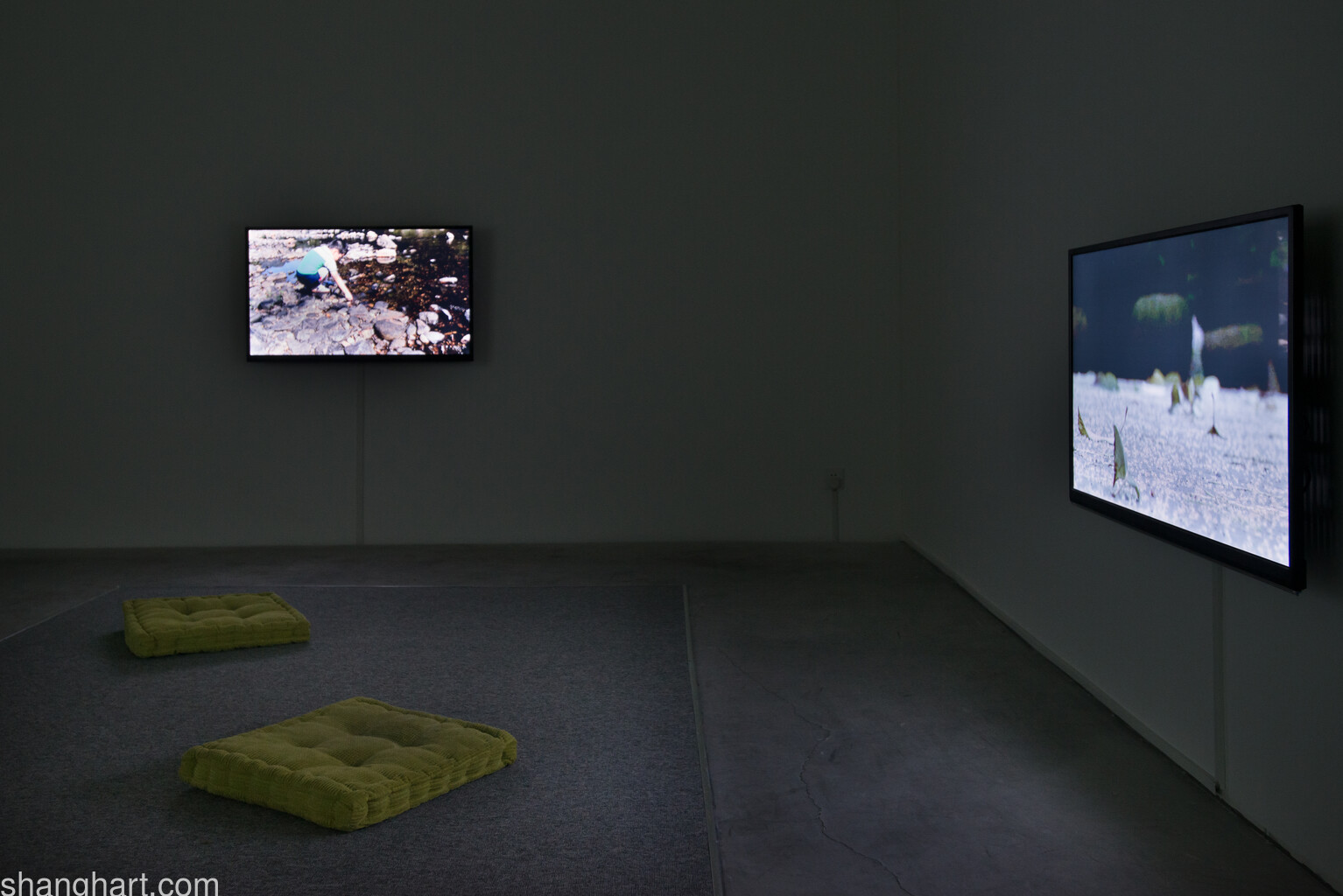 L:Video NO.20130921  R:Video No.20130429