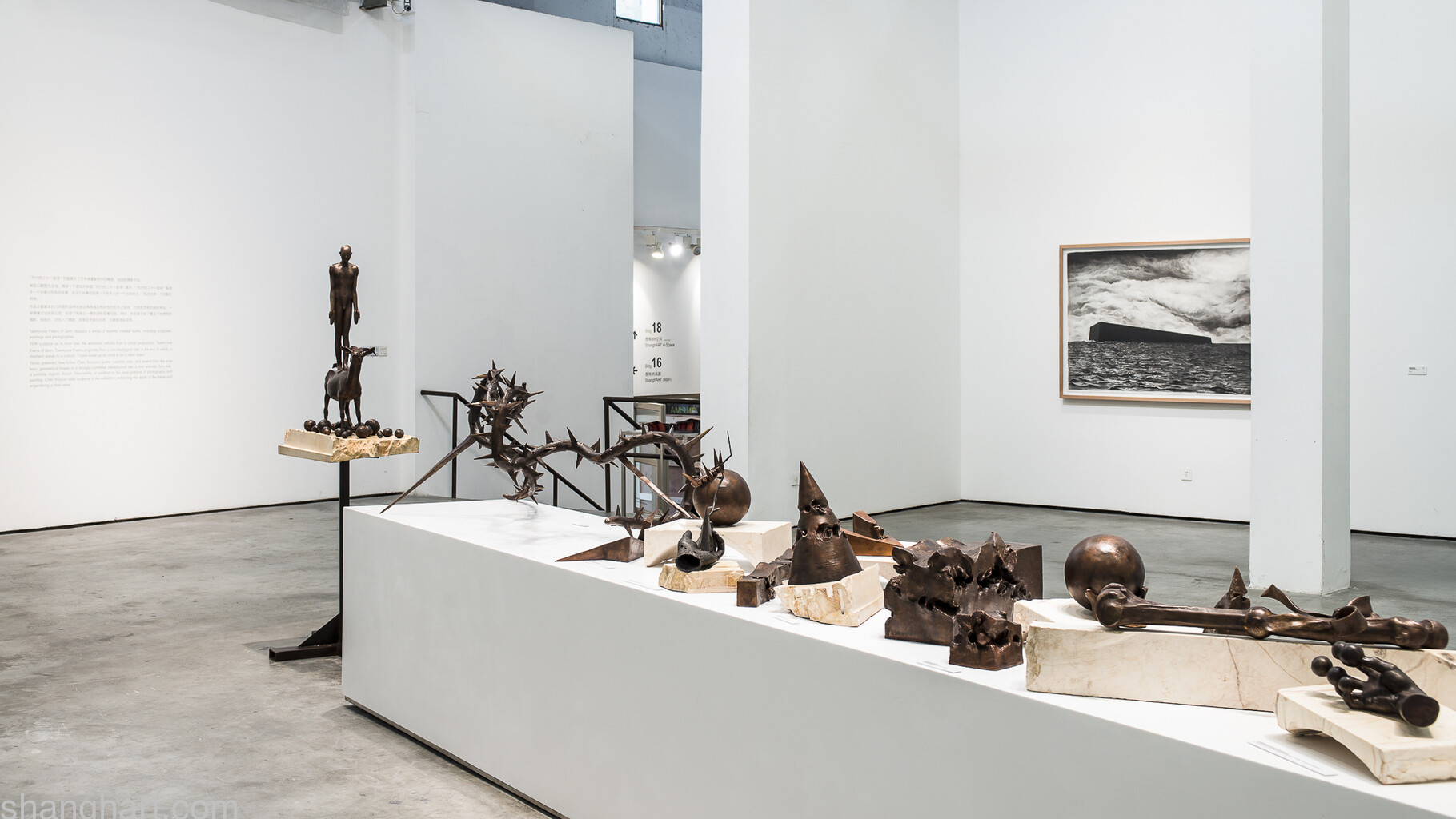 Chen Xiaoyun solo exhibition @ ShanghART Gallery