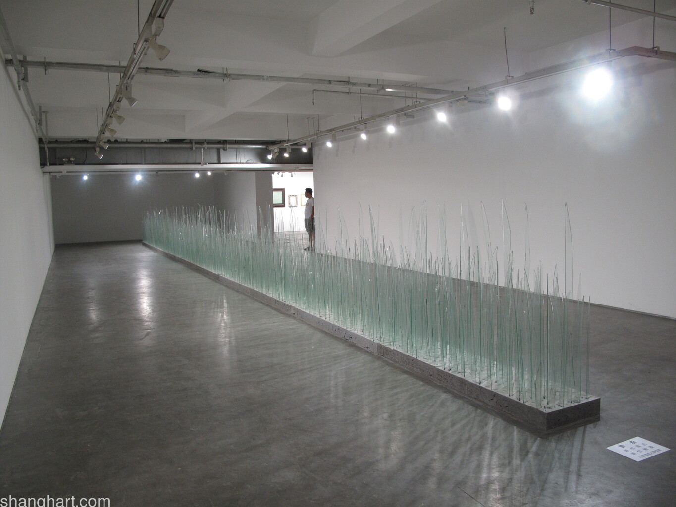 Installation view