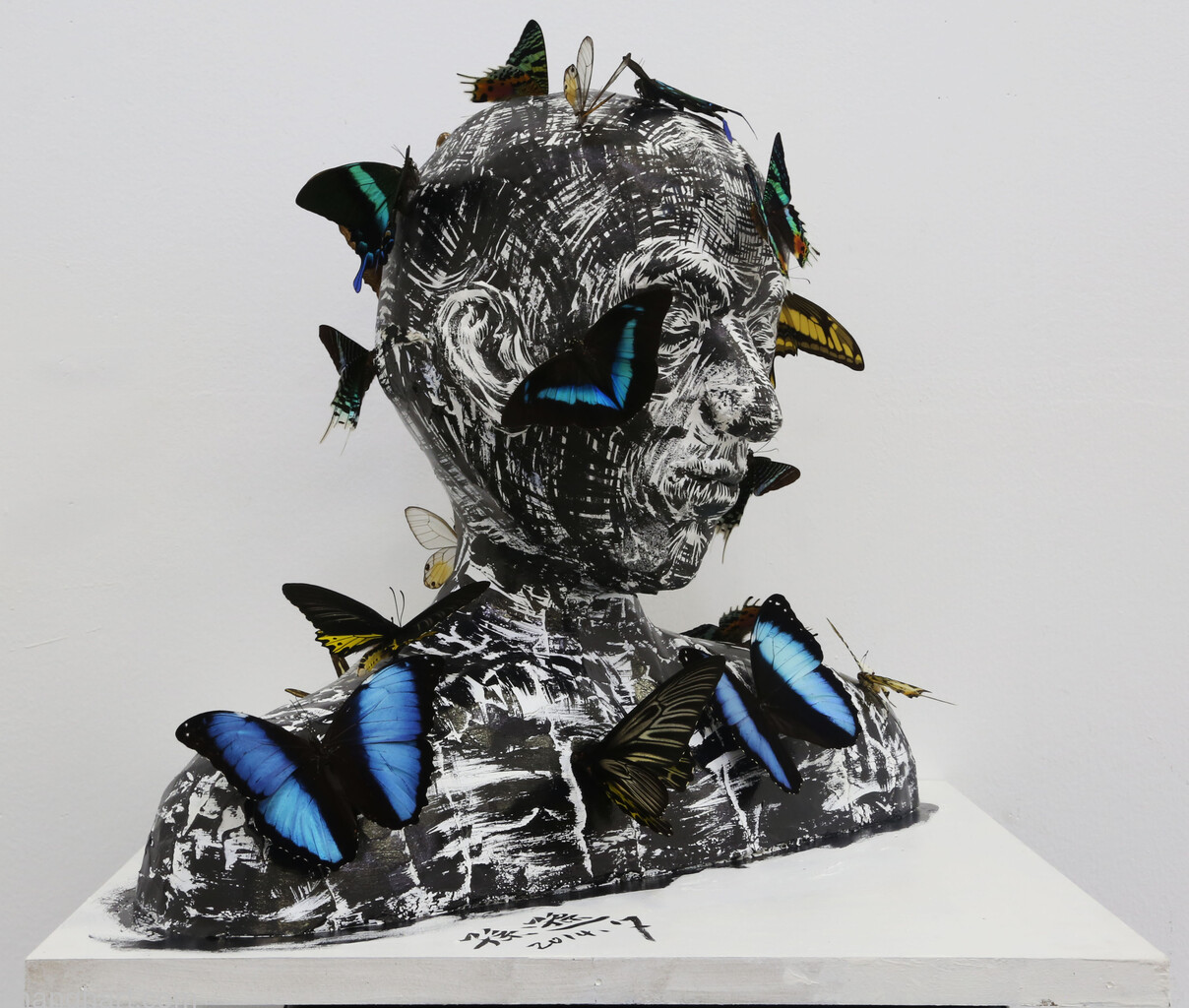 W: 80x80cm, H: 160cm