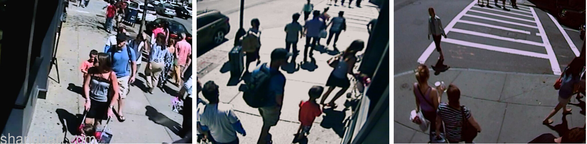 Video Still
