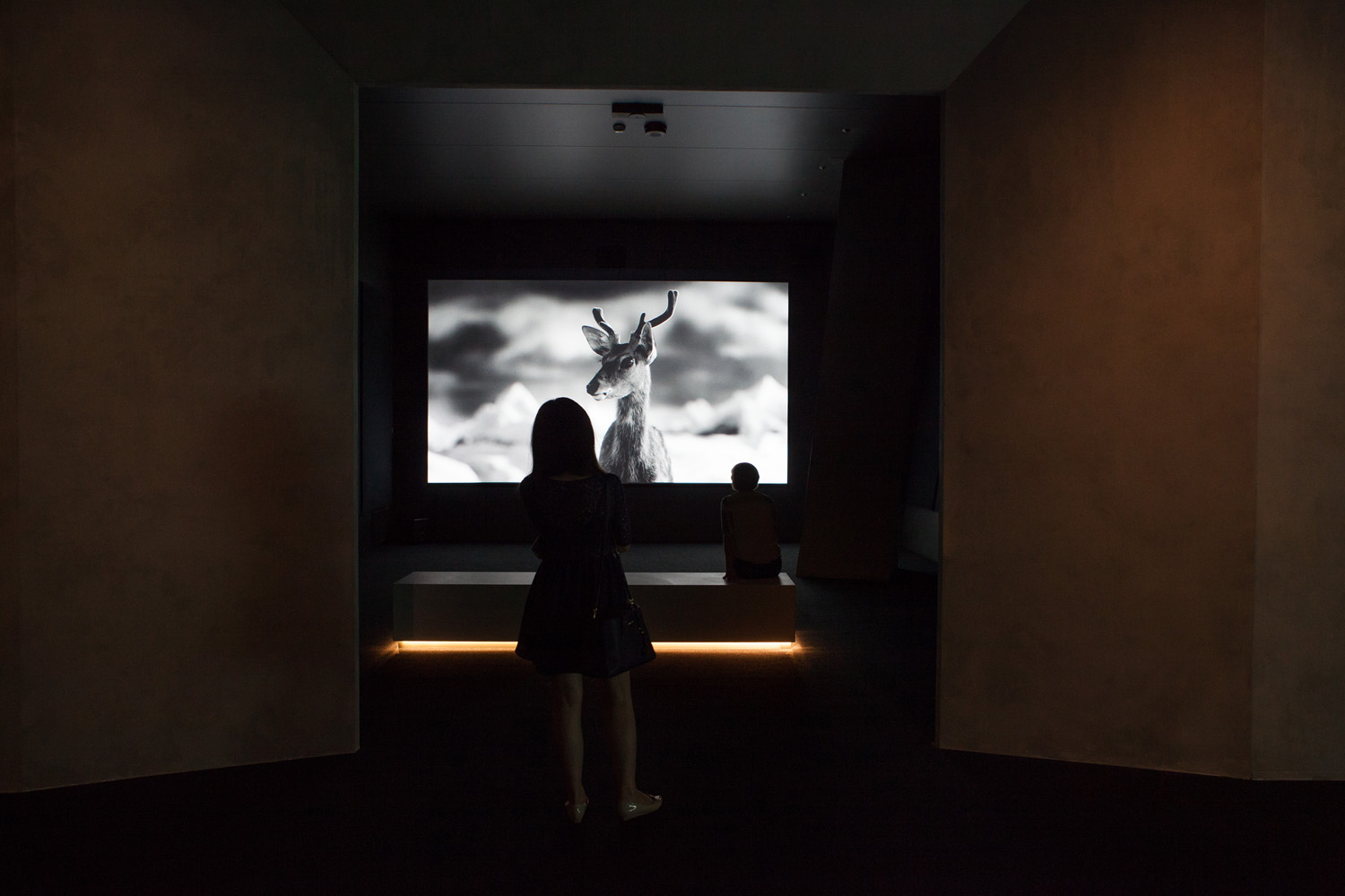 ACMI_Yang Fudong Filmscapes_Exhibition image_Credit Mark Gambino