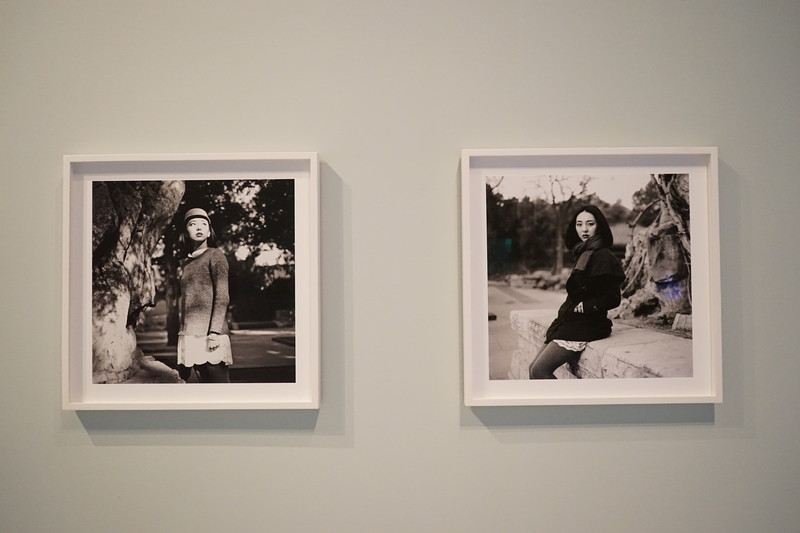 Exhibition View C