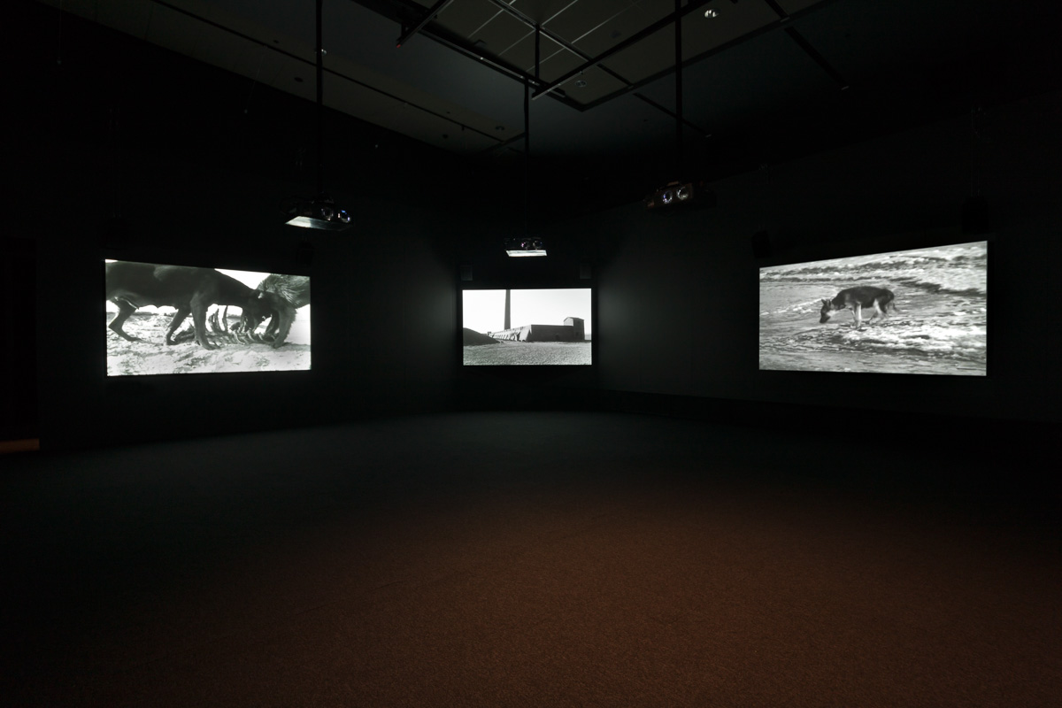 ACMI_Yang Fudong Filmscapes_Exhibition image_Credit Mark Gambino