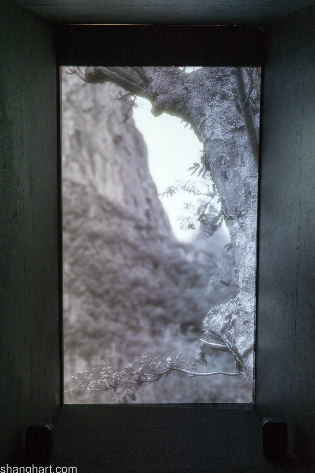 Inside