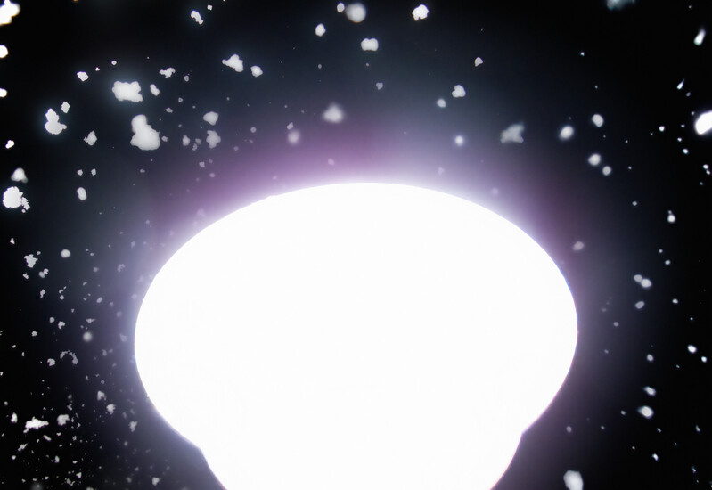 LY1_7608
