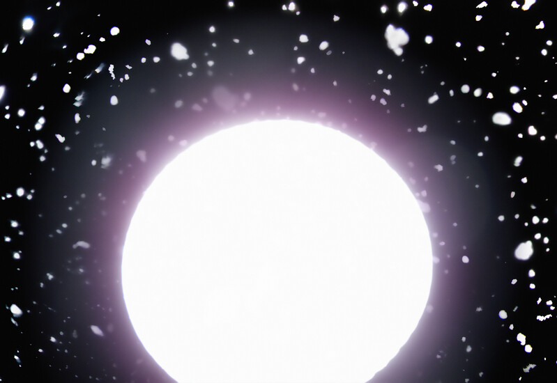 LY1_6178