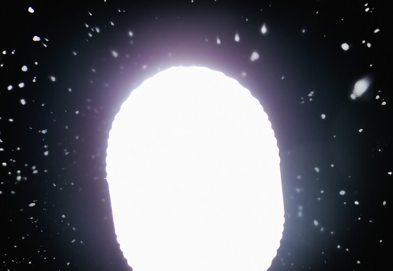 LY1_2092