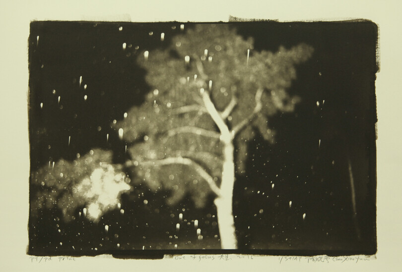 CXY_0376