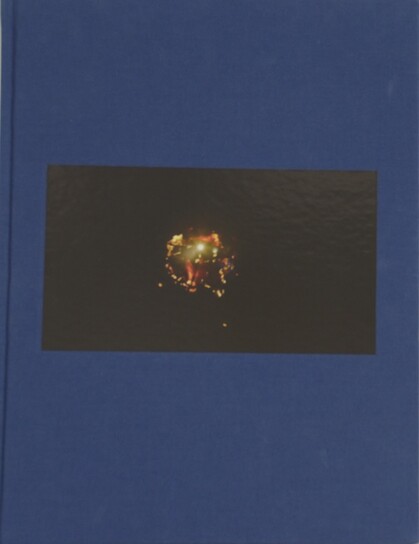 Apichatpong Weerasethakul Sourcebook: The Serenity of Madness