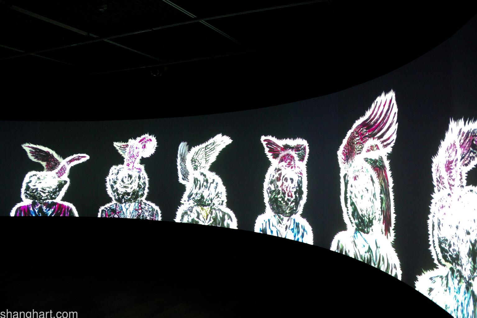 Installation view of Time Vivarium