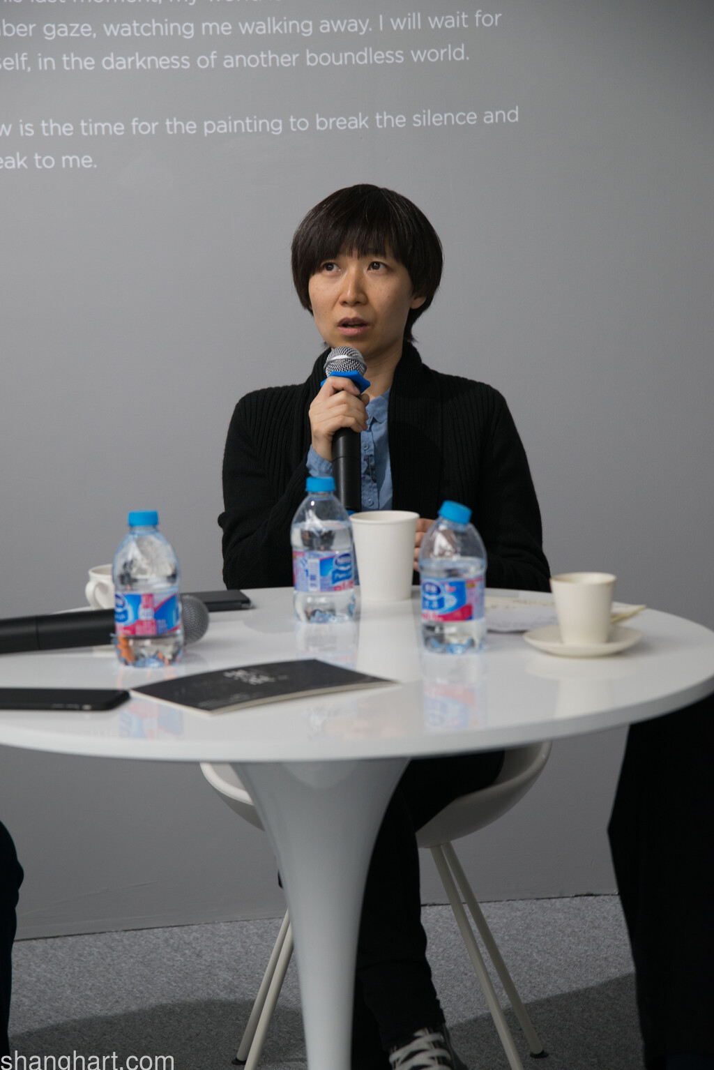 Artist, Hu Liu