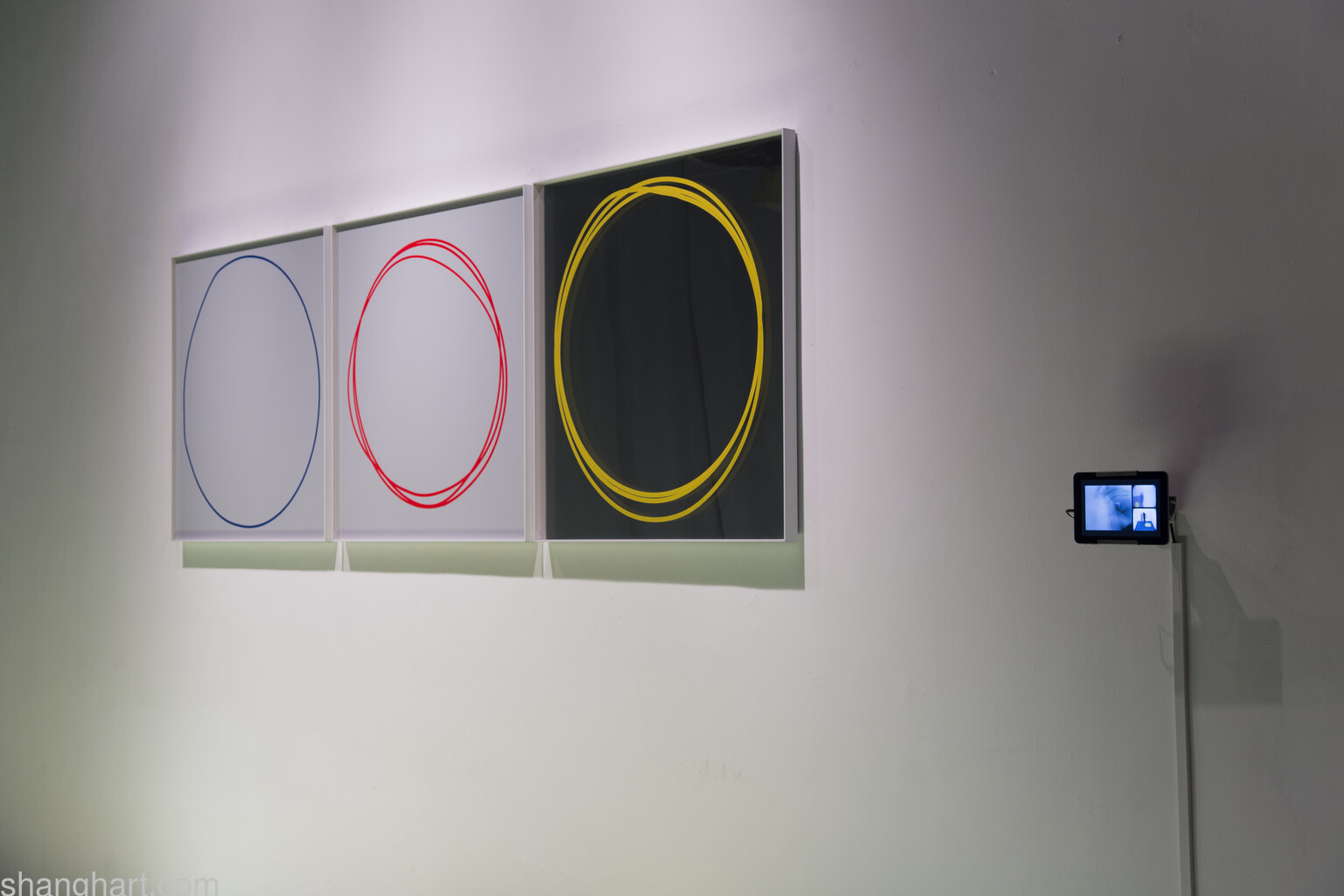 Zhang Qing's Circumspection series, Installation view