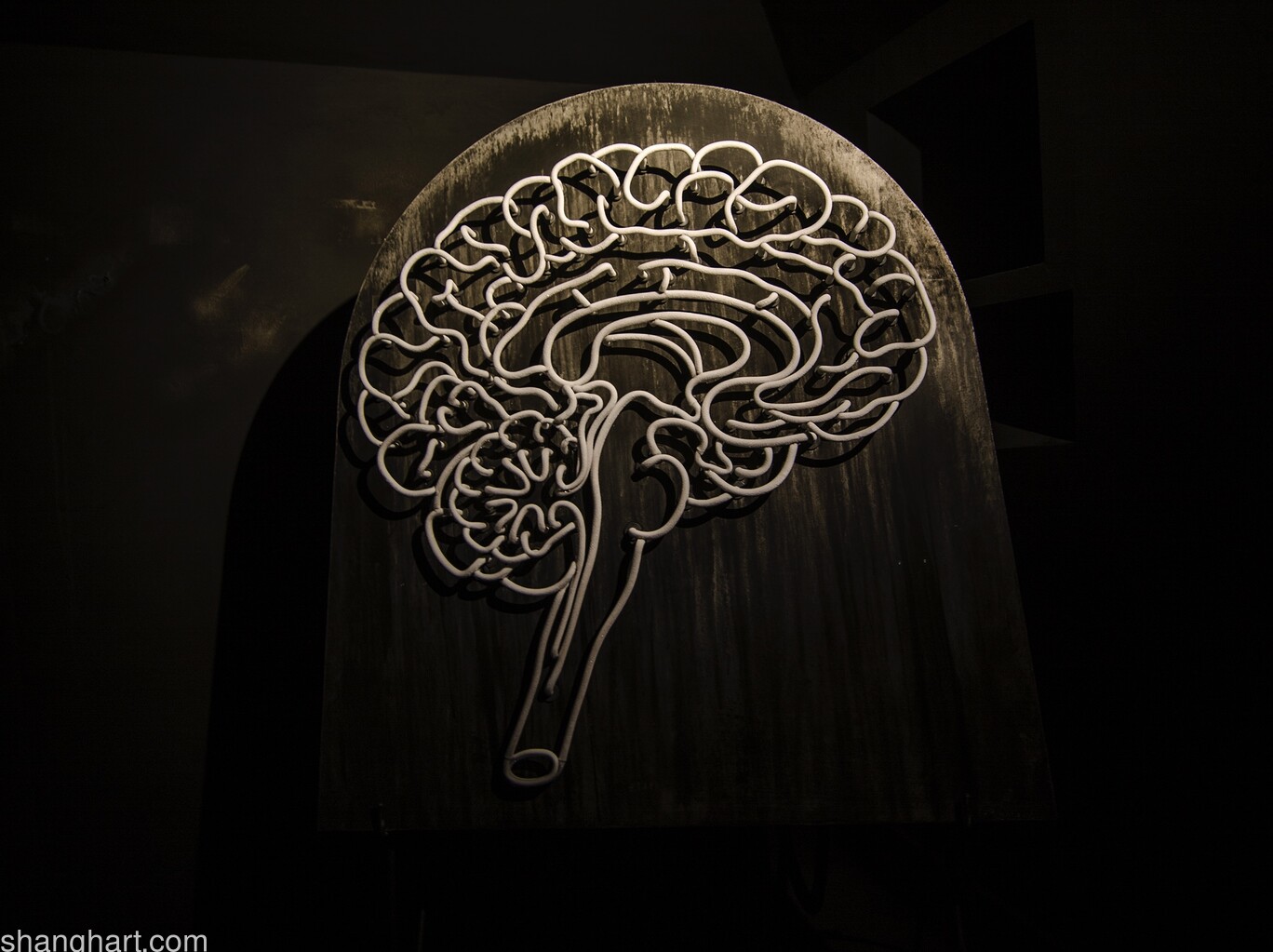 Lu Lei - Brain