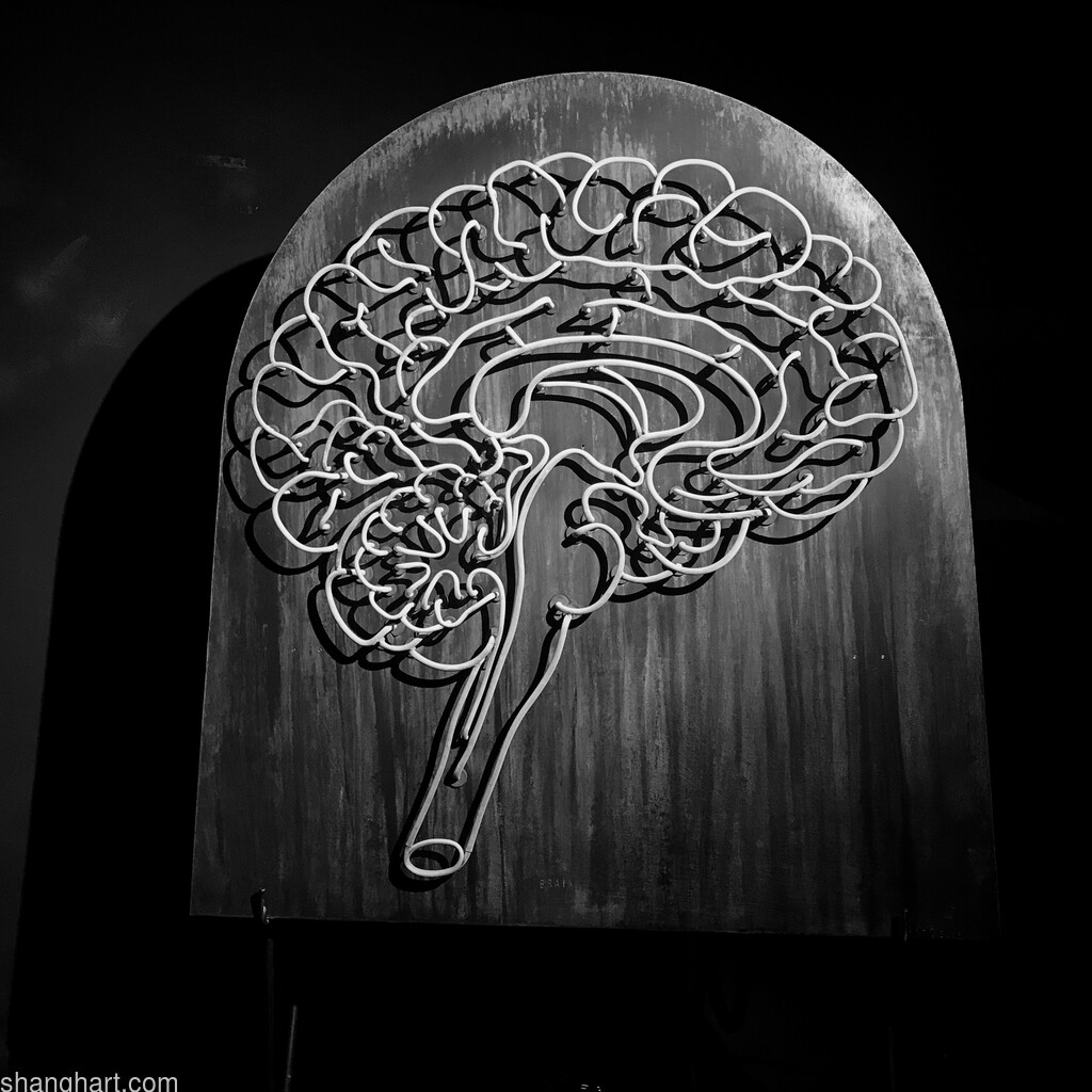 Lu Lei - Brain