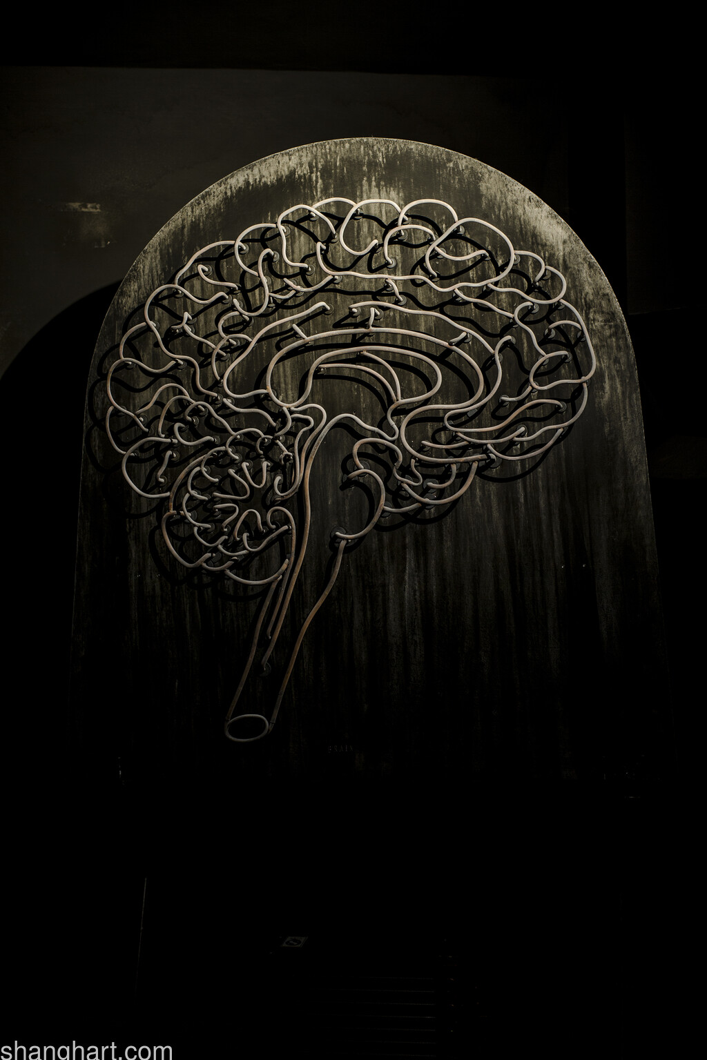 Lu Lei - Brain