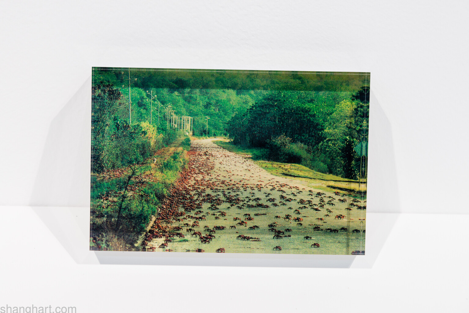 Crystal photo 15x10x3cm