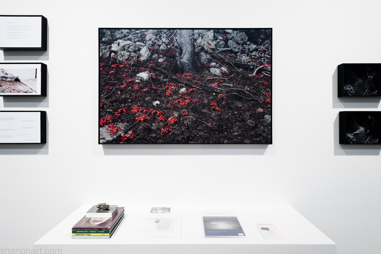 Installation view in 2017 ShanghART m50