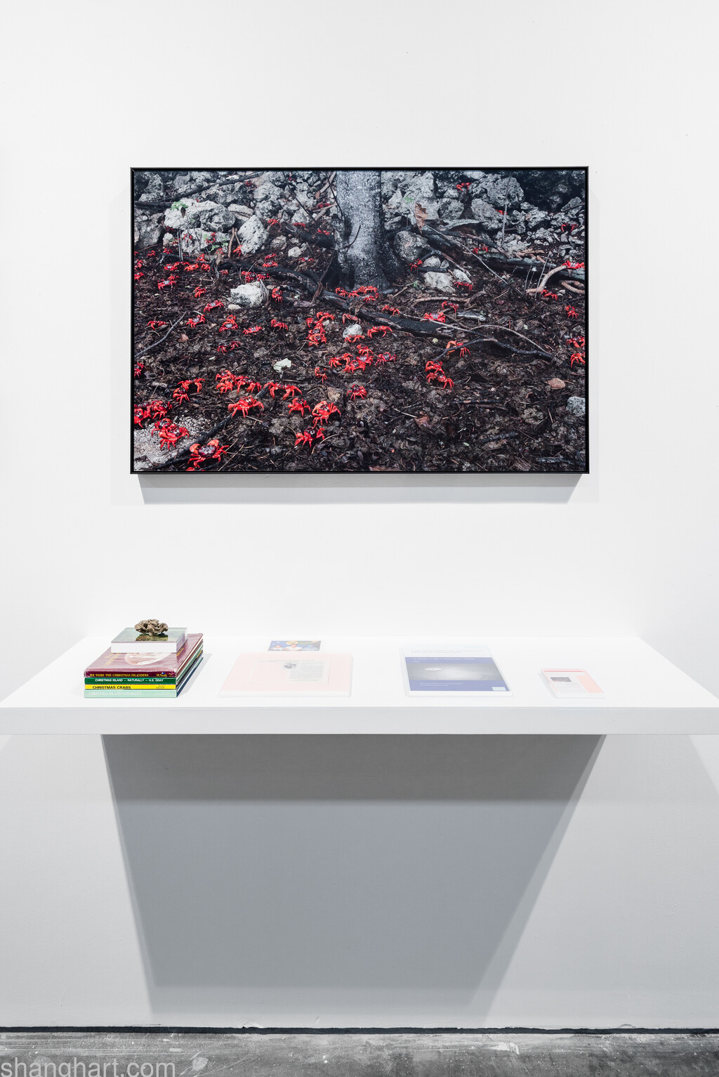 Installation view in 2017 ShanghART m50