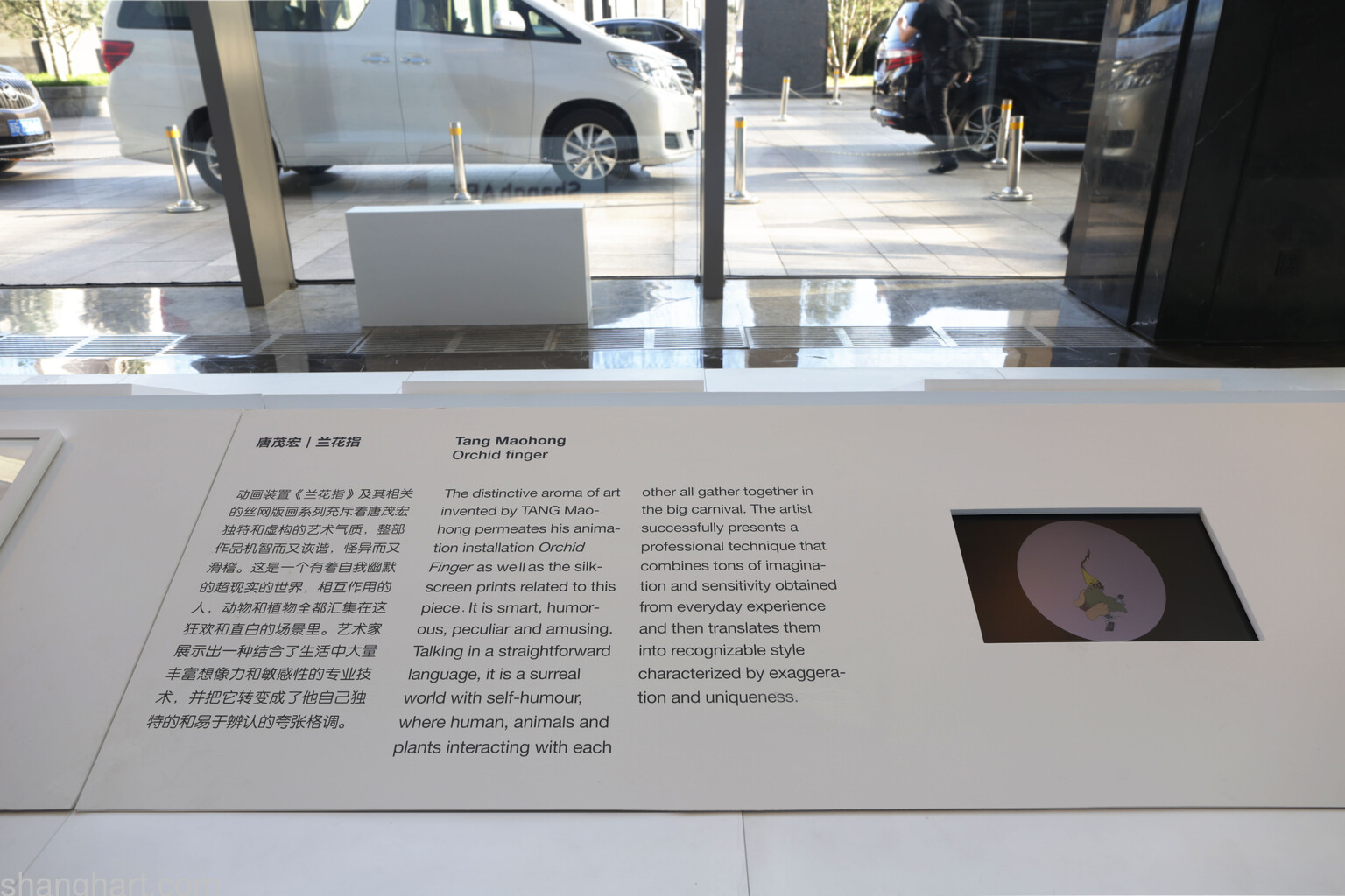Installation view