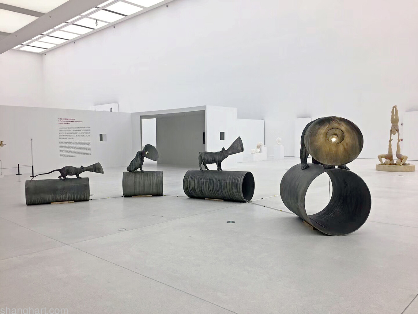 installation view