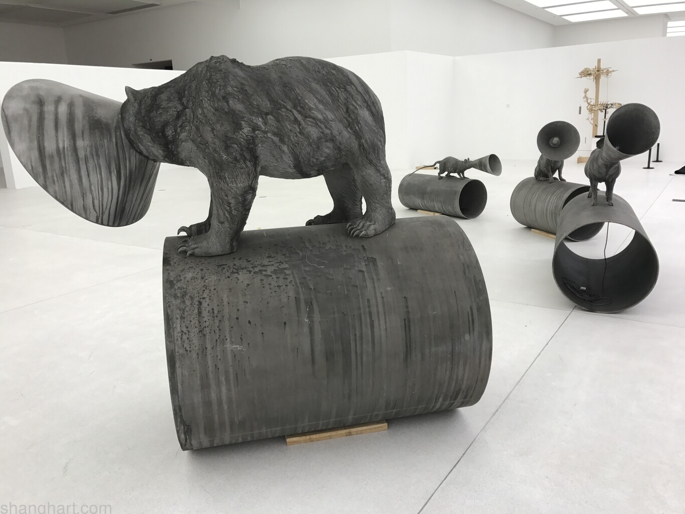 installation view
