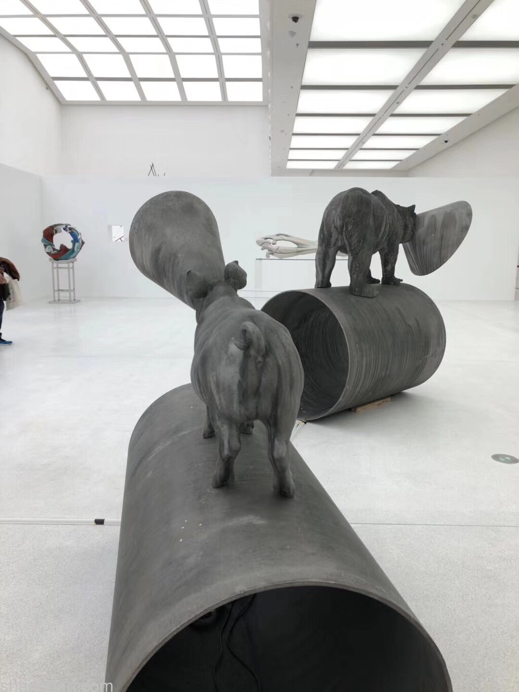 installation view
