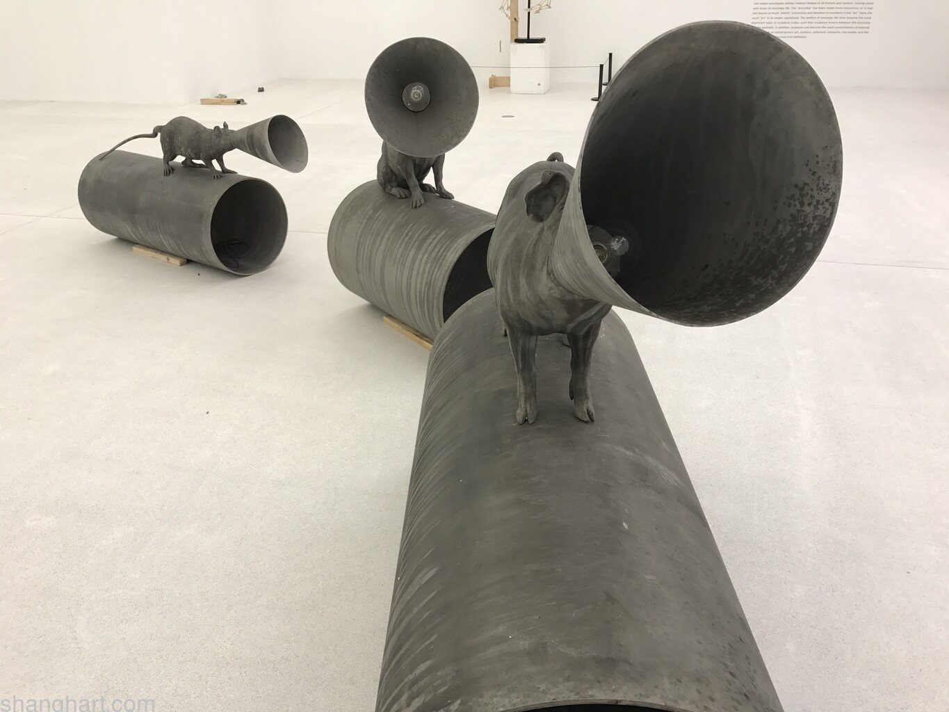 installation view