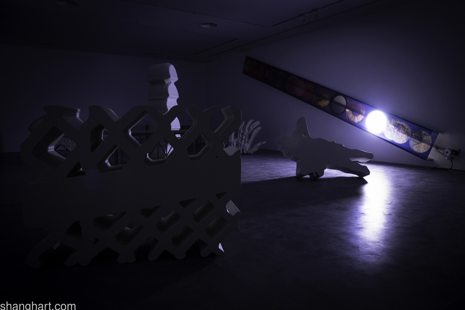 F1 Installation View