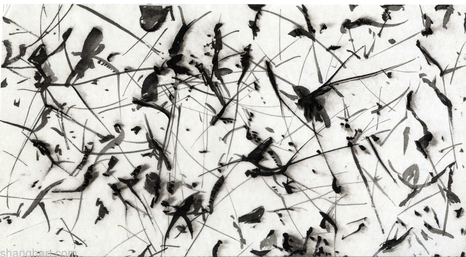 scan