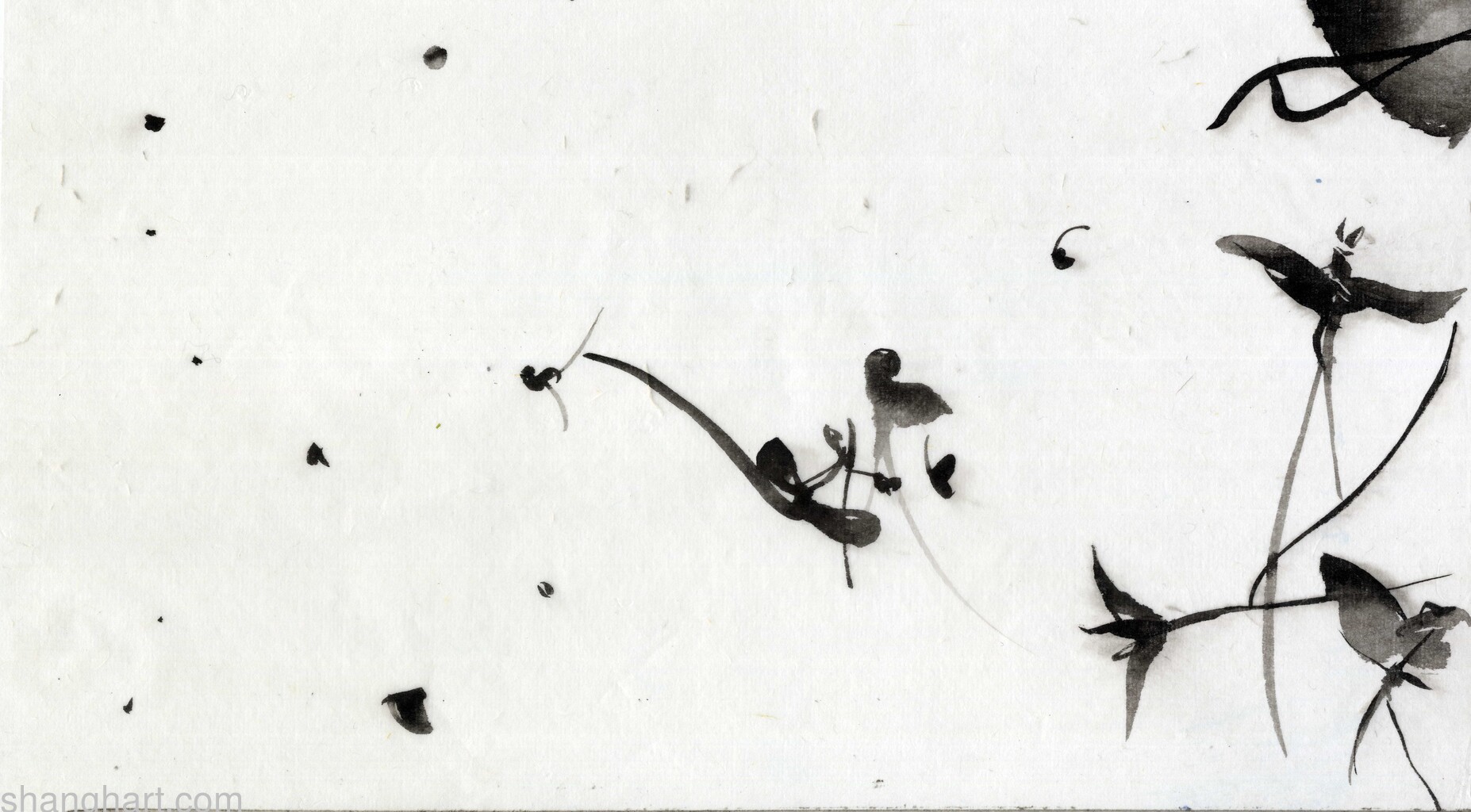 scan
