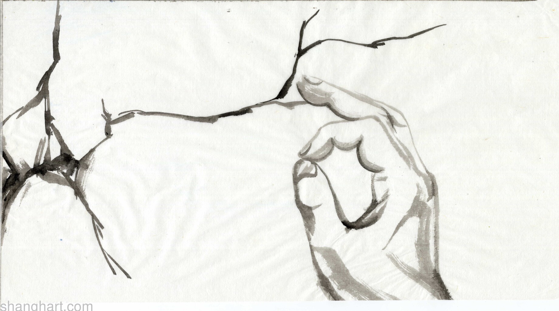 scan