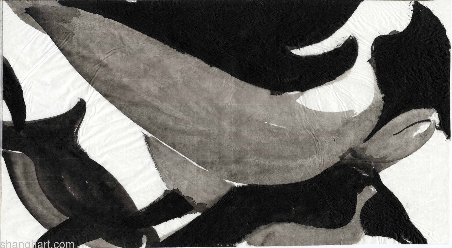 scan