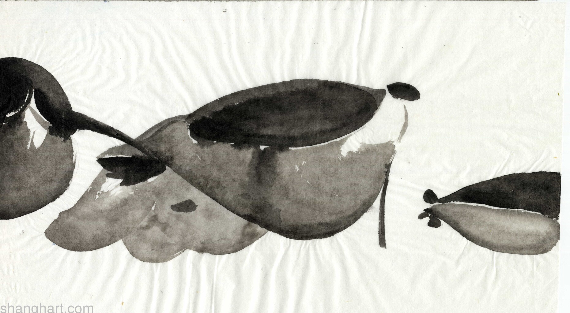 scan