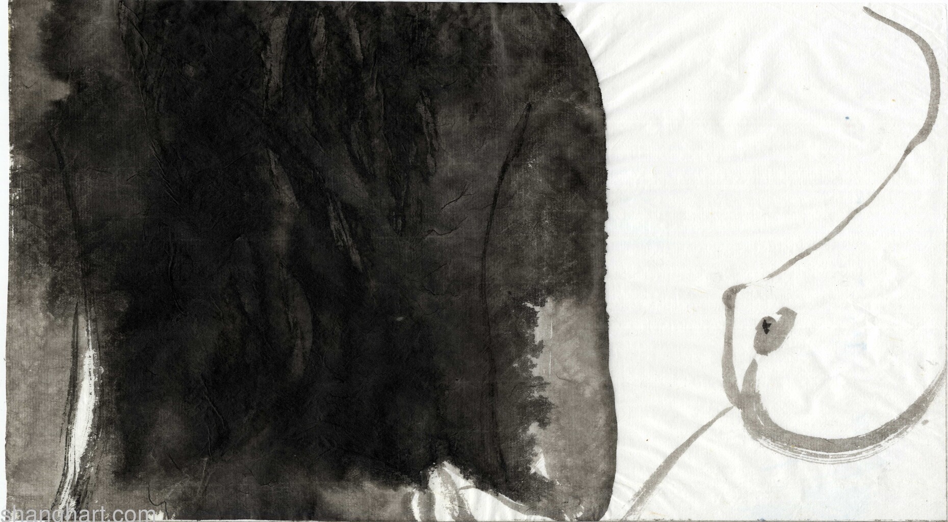 scan