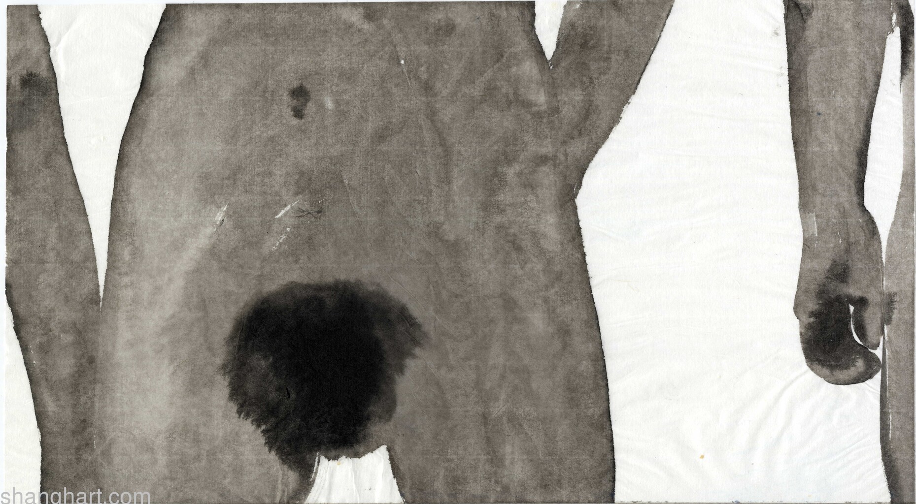 scan