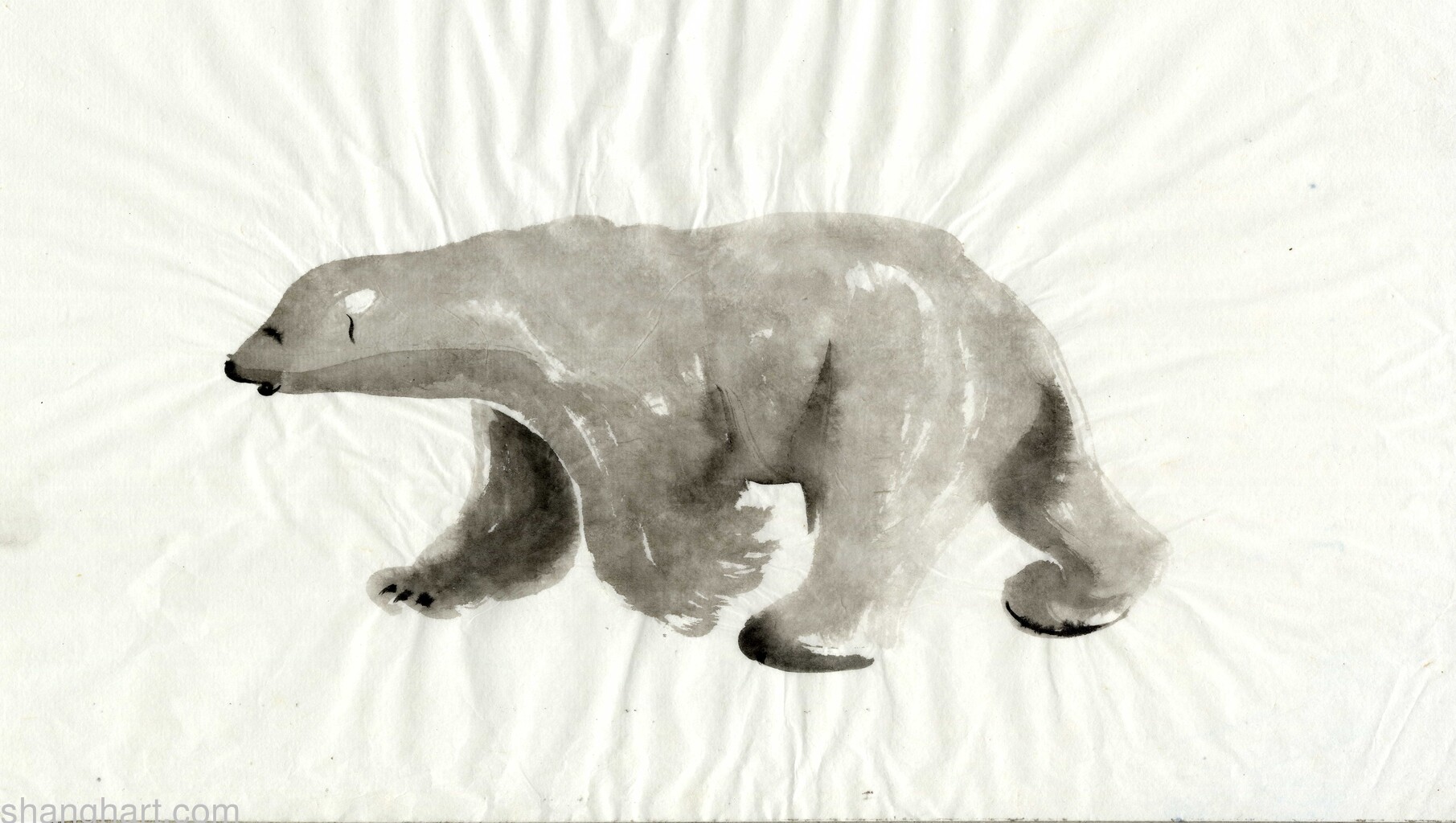 scan